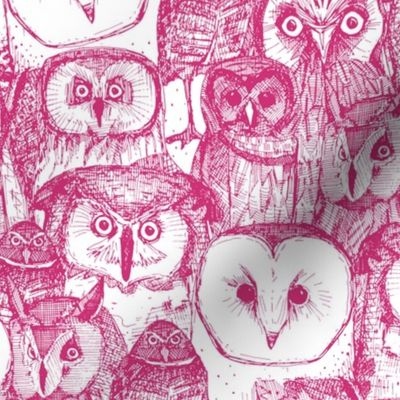 just owls pink white
