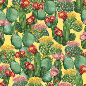 cactuses on yellow