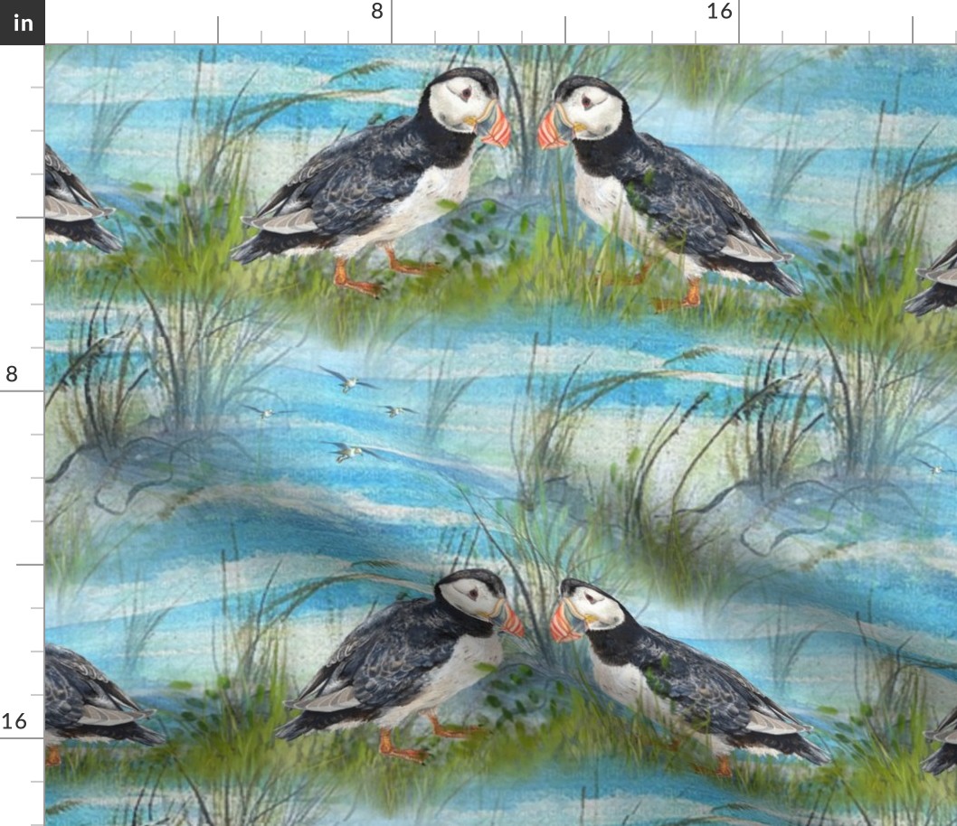 Pretty Puffins