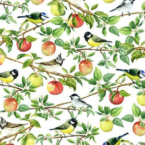 birds and apple tree