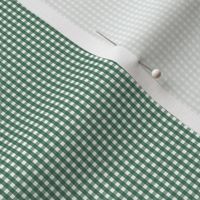 gingham 1/16 of inch 275F3F