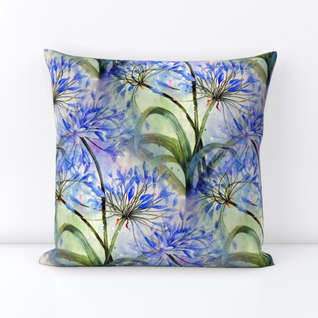 Always Agapanthus