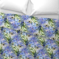 Always Agapanthus