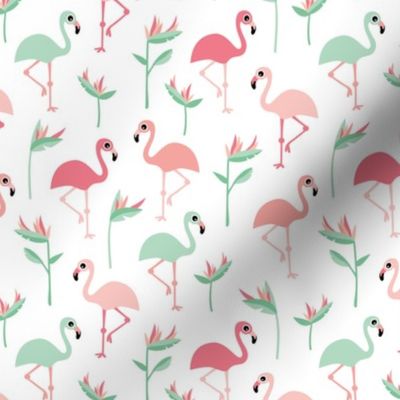 Birds of paradise botanical flower garden and flamingo beach Hawaii summer theme pink mint