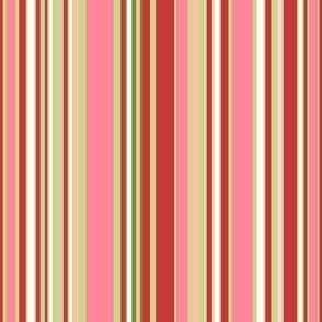 Watermelon Stripe