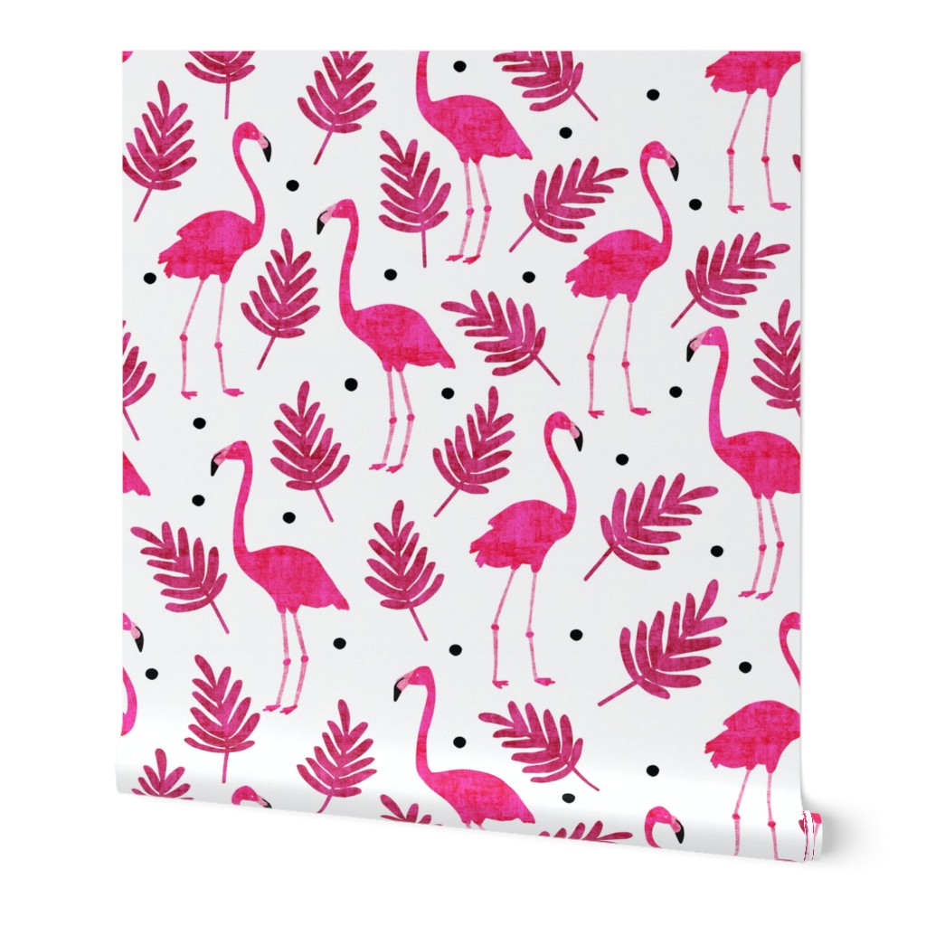 Flamingos 