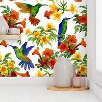 hummingbirds (large scale)