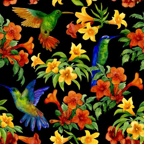 hummingbirds on black (large scale)