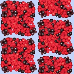 berriesgalore
