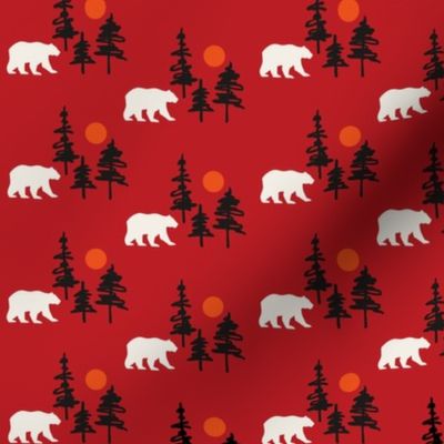 Wilderness Bears + Pines