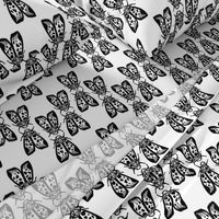 Death's Head Moth Kiss/ Totenkopf Moth Kuss - by Su_G_©SuSchaefer
