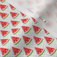(micro scale) happy watermelon - red on black polka dots C18BS