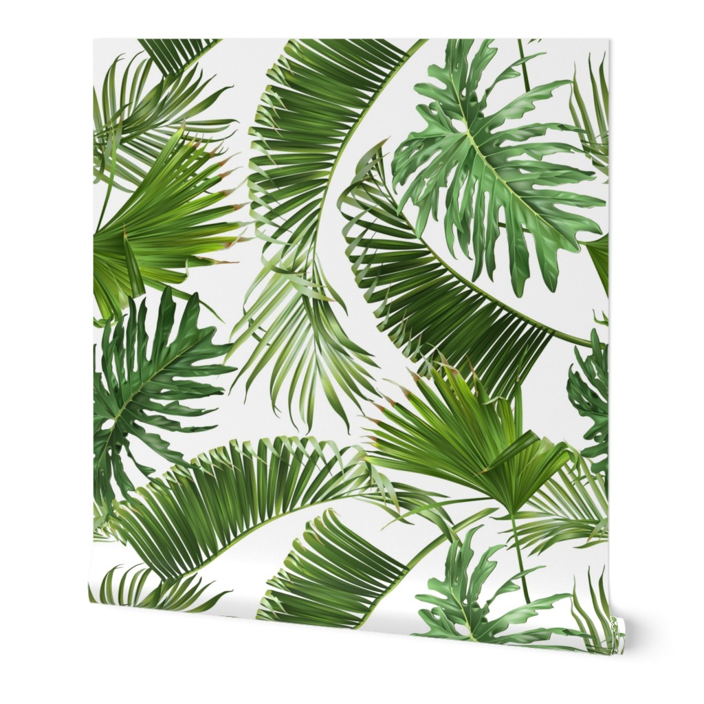 Tropical leaves