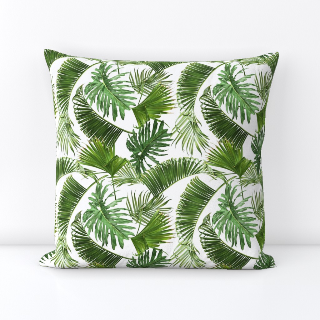 Tropical leaves