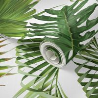 Tropical leaves