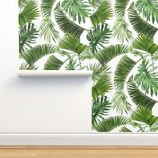 Tropical leaves