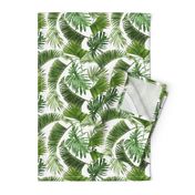 Tropical leaves