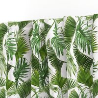 Tropical leaves