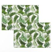 Tropical leaves