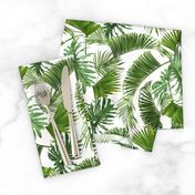 Tropical leaves