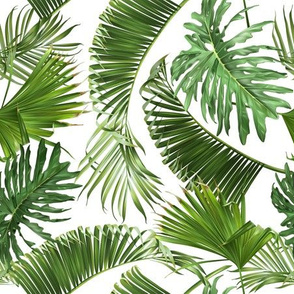 Tropical leaves