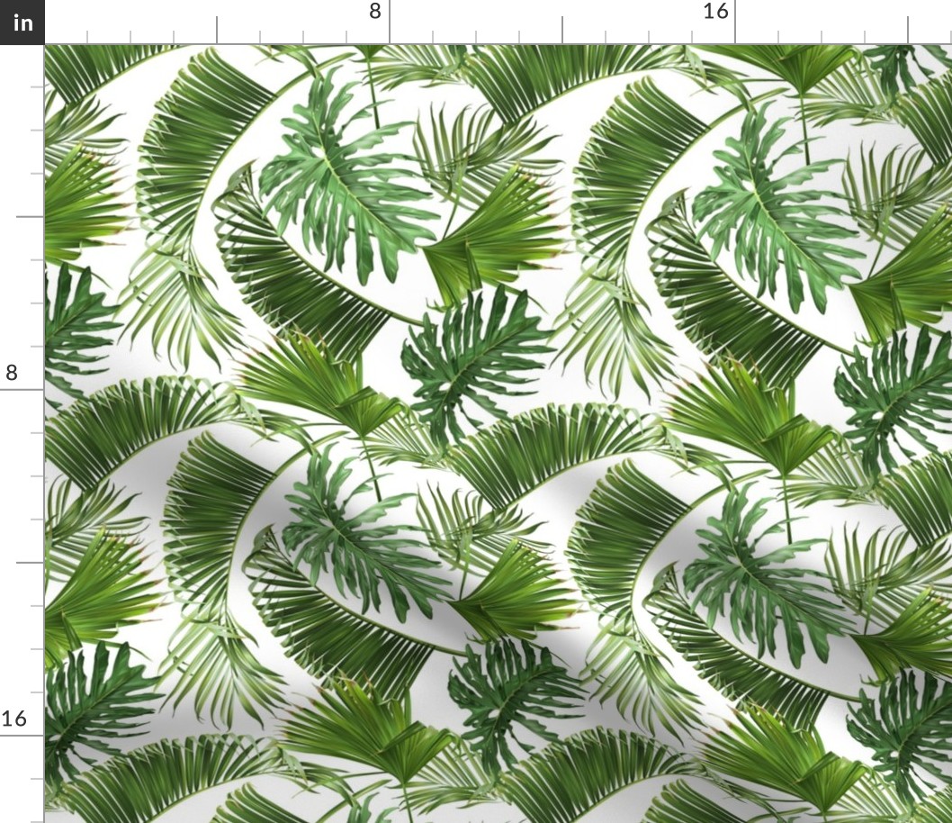 Tropical leaves