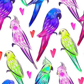 Parrot`s Love
