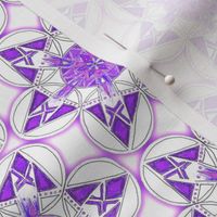 large snowflake hexagons in purple  - ELH