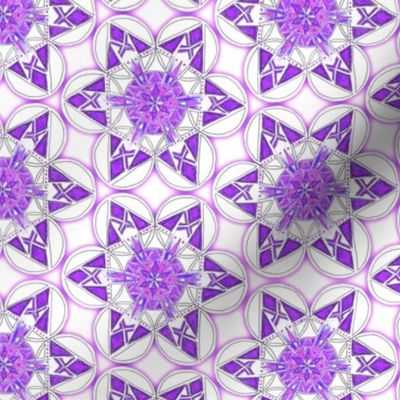 large snowflake hexagons in purple  - ELH