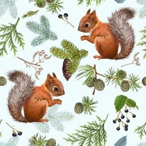 Branches and squirell