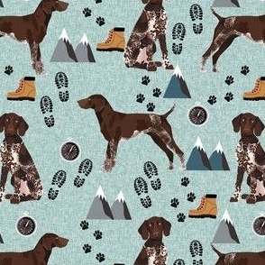german shorthair pointer hiking dog breed fabric bluish
