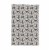 german shorthair pointer hiking dog breed fabric grey