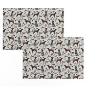 german shorthair pointer hiking dog breed fabric grey