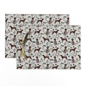 german shorthair pointer hiking dog breed fabric grey