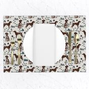 german shorthair pointer hiking dog breed fabric grey