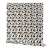 german shorthair pointer hiking dog breed fabric grey