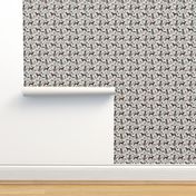 german shorthair pointer hiking dog breed fabric grey