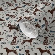 german shorthair pointer hiking dog breed fabric grey