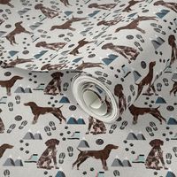 german shorthair pointer hiking dog breed fabric grey