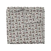 german shorthair pointer hiking dog breed fabric grey