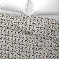 german shorthair pointer hiking dog breed fabric grey