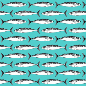 mackerel (small)