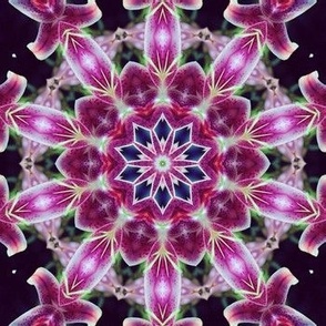 Star Gazer Lily kaleidoscope