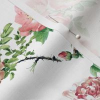 Watercolor English Rose ~ Victoria's Garden ~ Medium