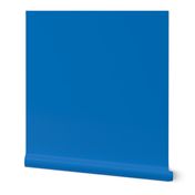 medium blue color solid coordinate blender