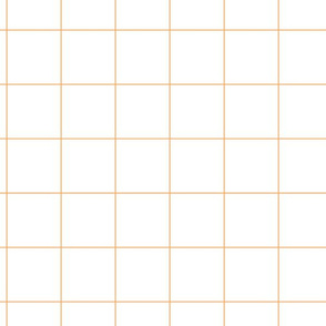 2" Grid in Orange