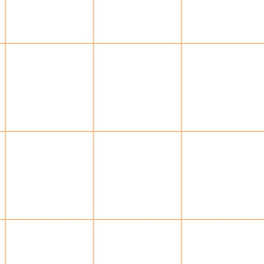 4" Grid in Orange