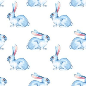 White rabbits 3