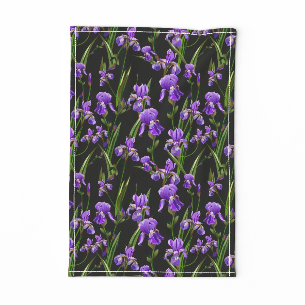 Seamless pattern with iris flowers