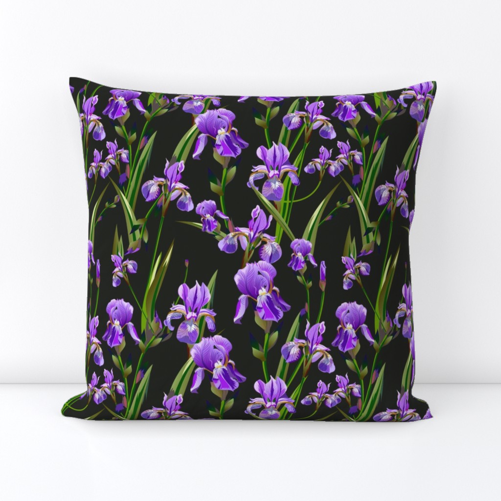 Seamless pattern with iris flowers